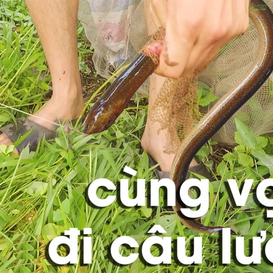 LƯỠI CÂU LƯƠN DÂY CƯỚC SIÊU BỀN – CỰC NHẠY – CHỐNG RỈ